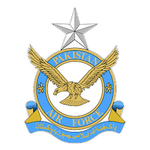 Pakistan Air Force club crest