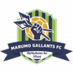 Marumo Gallants U23 club crest
