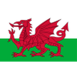 Wales U17 club crest