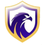 Falcon U20 club crest