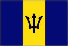 Barbados W club crest