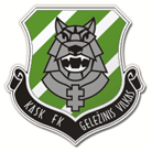 Geležinis Vilkas club crest