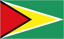 Guyana W U17 club crest