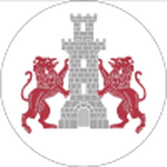 Cetatea club crest