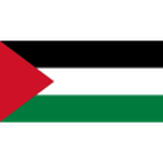 Palestine U20 club crest
