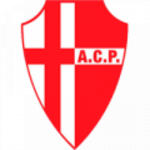 Padova U19 club crest