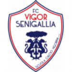 Vigor Senigallia club crest