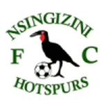 Nsingizini Hotspurs club crest