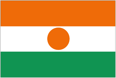 Niger U23 club crest