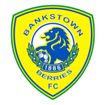 Canterbury Bankstown club crest
