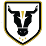 Bulls Academy club crest