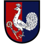 Petřvald na Moravě club crest