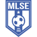 Martfűi LSE club crest