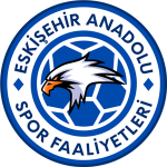 Anadolu Üniversitesi club crest