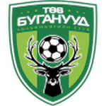 Central Stallions club crest