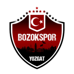 Yozgat Bld Bozokspor club crest