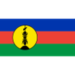 New Caledonia U17 club crest