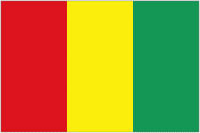 Guinea W club crest