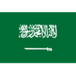 Saudi Arabia club crest