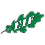 EIF Akademi club crest