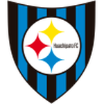 Huachipato club crest