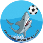 Gbohloé-su des Lacs club crest