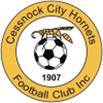 Cessnock City Hornets club crest