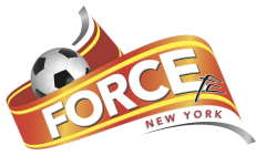 Force New York club crest
