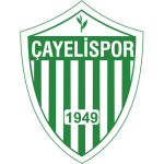 Çayelispor club crest