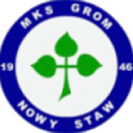 Grom Nowy Staw club crest