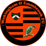 Wokingham Town club crest