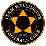 Team Wellington club crest