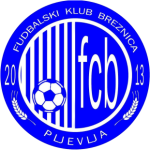 Breznica club crest