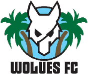 Wolues FC club crest