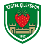 Kestel Çilek club crest
