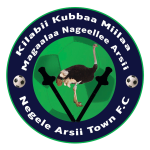 Negelle Arsi club crest