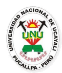 Atlético Nacional de Pucallpa club crest