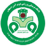ZOB Ahan club crest