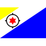 Bonaire U20 club crest