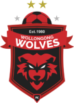 Wollongong Wolves U20 club crest