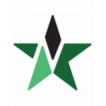 Al Najma club crest