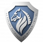 Merani Tbilisi club crest
