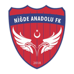 Niğde Anadolu club crest