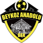 Beykoz Anadolu club crest