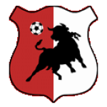 Bonyhád Völgység club crest