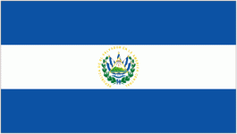 El Salvador club crest
