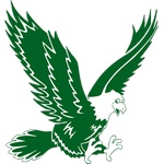 Green Eagles club crest