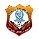 Police XI club crest