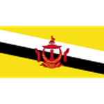Brunei club crest