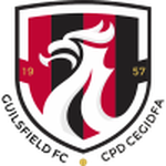 Guilsfield club crest